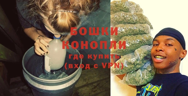 ПСИЛОЦИБИНОВЫЕ ГРИБЫ Балахна