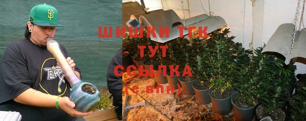 ПСИЛОЦИБИНОВЫЕ ГРИБЫ Балахна