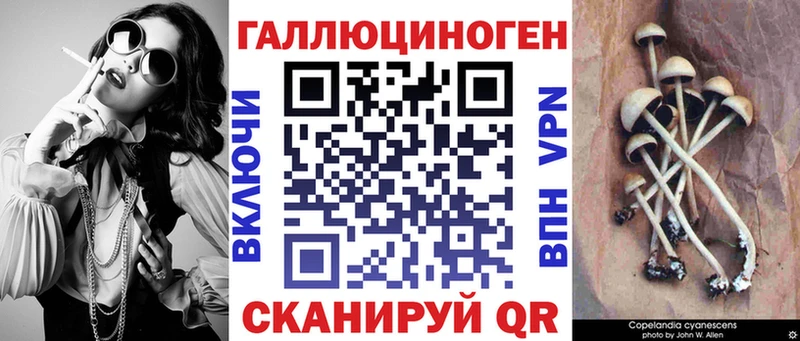 Псилоцибиновые грибы мицелий Буинск